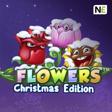 Flowers Christmas Edition - POWERPLAY128