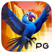 Wings of Iguazu - POWERPLAY128