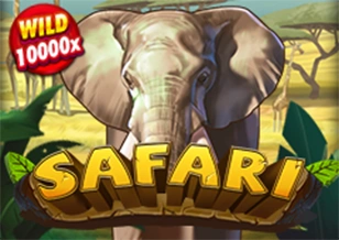 Safari - POWERPLAY128