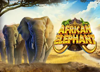 African Elephant - POWERPLAY128